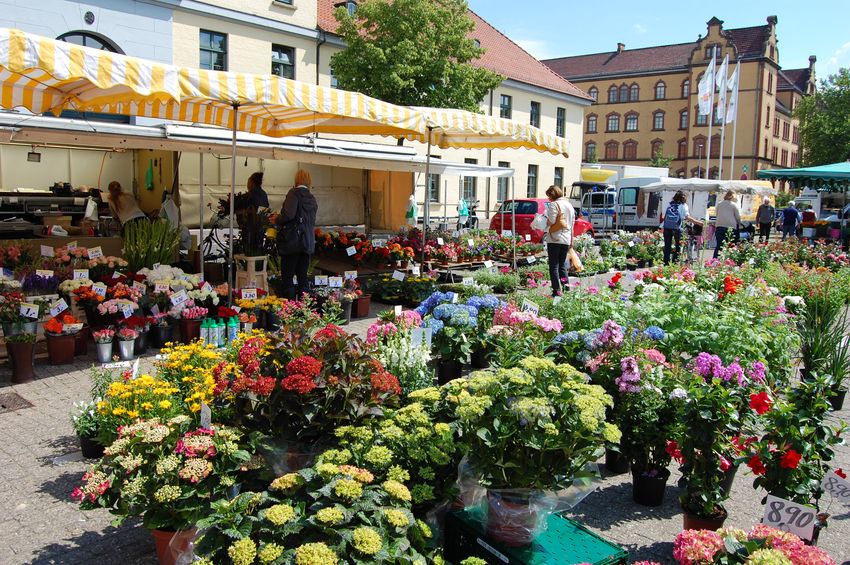 Wochenmarkt auf dem Pferdemarkt – Stadt Oldenburg