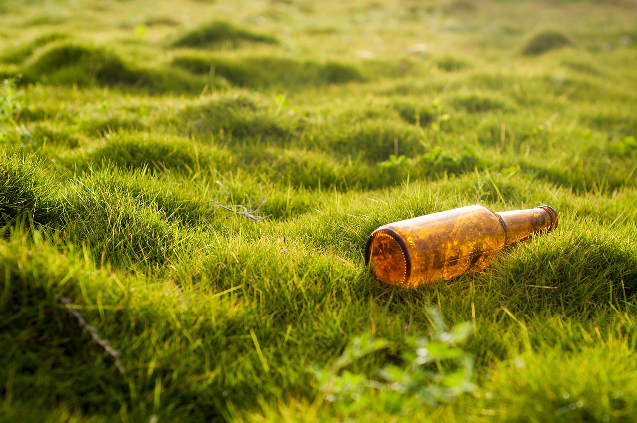 Leere Glasflasche auf Rasen. Foto: Letone/Pixabay – Letone/Pixabay
