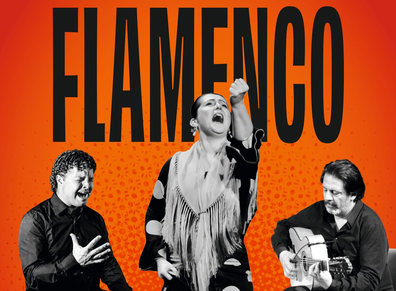 Plakatmotiv Flamenco Flavie Cardona – privat